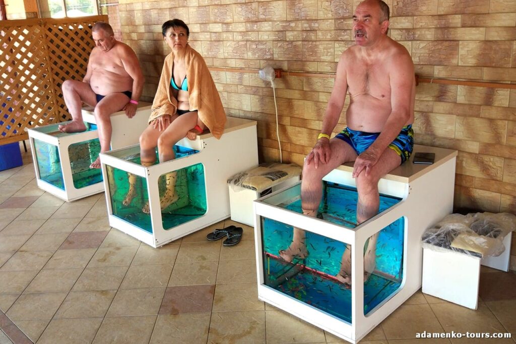 Жаворонок. Термальные воды Закарпатья