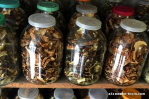 Білі гриби Закарпаття