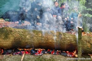 Детская экскурсия Лесная школа