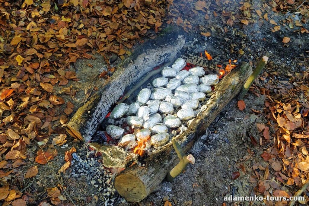 Детская экскурсия Лесная школа