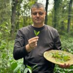 екскурсія на чайну плантацію